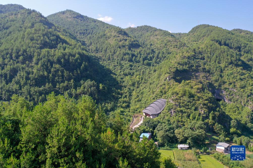 真人对赌
